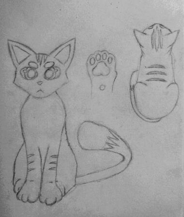 Storme the Cat with semi-realistic proportions